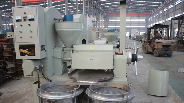 التصنيع المباشر لآلة ضغط زيت نخالة الأرز | آلة الصحافة النفط التلقائي بالجملة