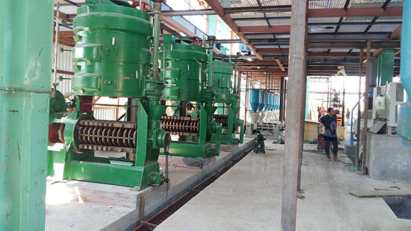 مصنع زيت بذرة القطن الصغير في اليمن | آلة الصحافة النفط